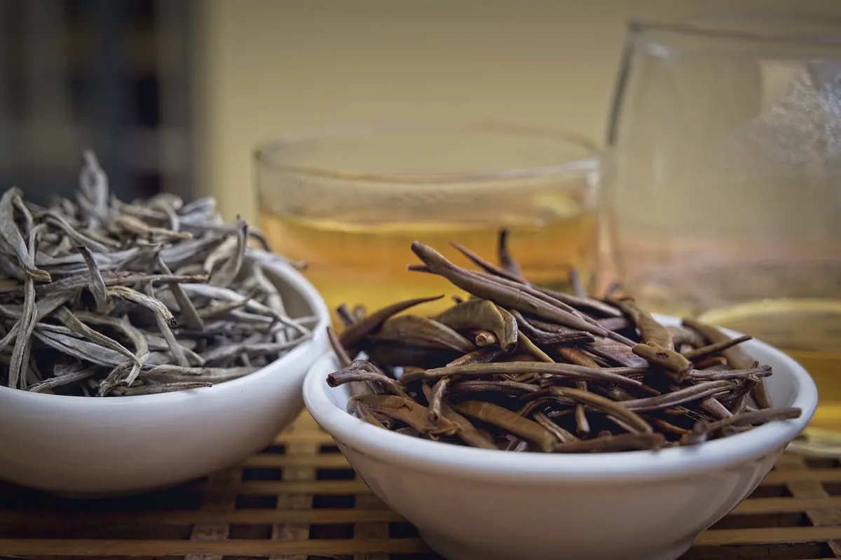 日本人が知らないベトナムのお茶の魅力