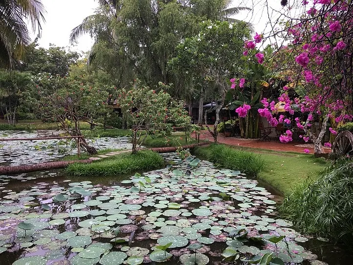 ホーチミンで英語は通じる!?旅行中の言葉モンダイ解決法