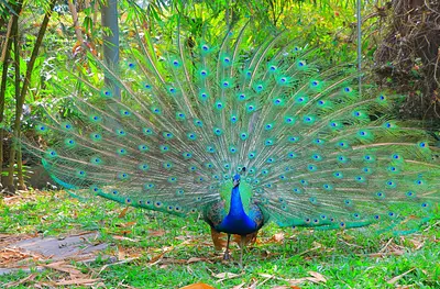 初めてホーチミンに来て感じたことと、最初に訪れた場所