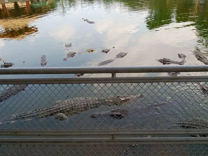 【週末特集】ホーチミン市内観光ザ☆王道コースのご紹介！～後編～
