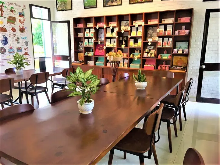 旅をしながら男女が出会える「旅コンinカカオ農園」に参加してみた