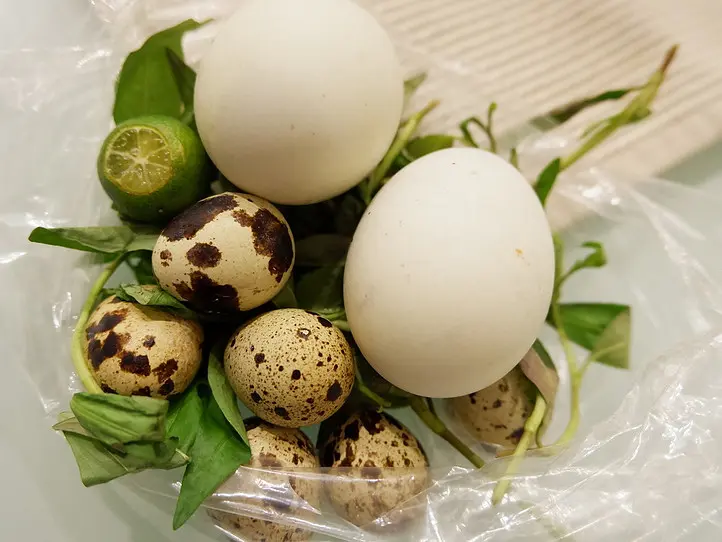 技あり！？「ホビロン」の上手な食べ方（閲覧注意）
