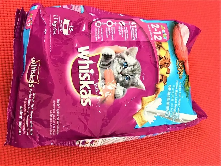 ベトナムで猫の飼い方