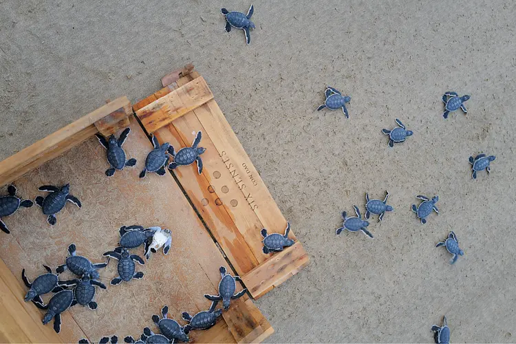 シックスセンシズ・コンダオ