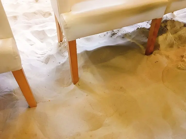 チェーン店なのに一杯850円！　超高級「ジャコウネココーヒー」を飲んでみた