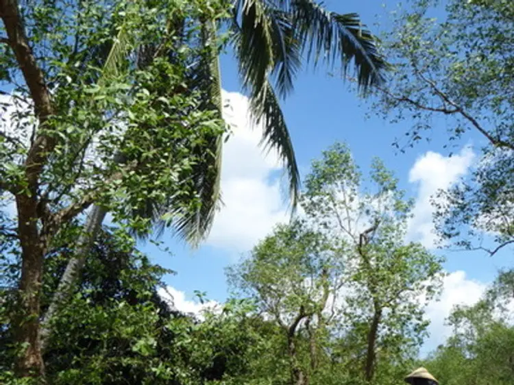 サザンブリーズ