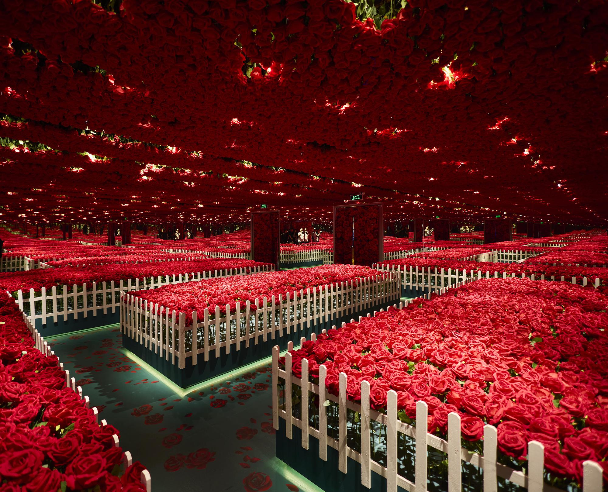 Special Sチケット