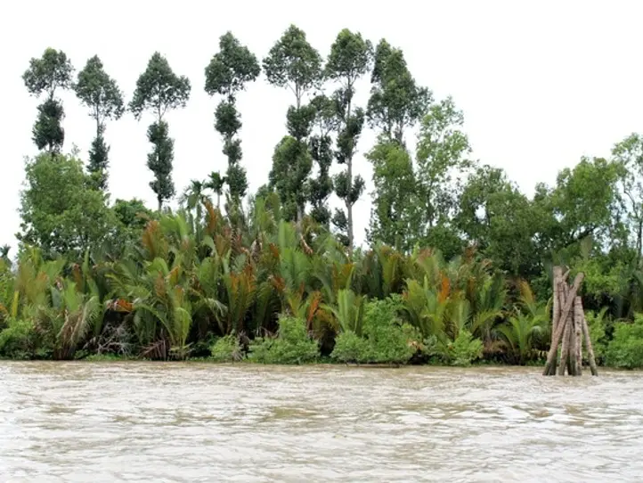 ホーチミンの１番人気の定番現地オプショナル・ツアー！メコン川クルーズ・ツアー