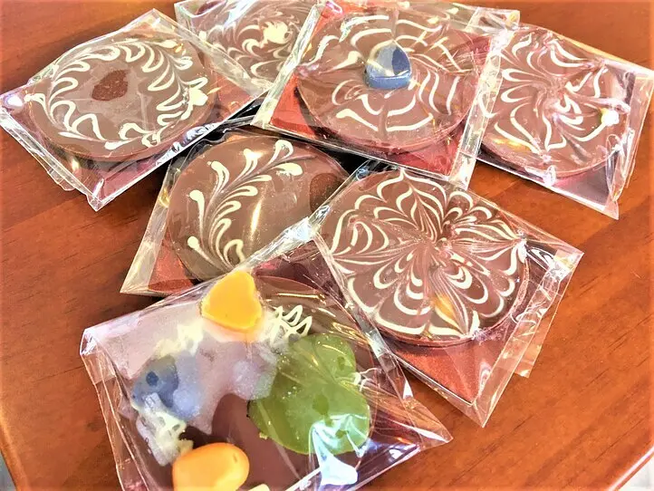 旅をしながら男女が出会える「旅コンinカカオ農園」に参加してみた