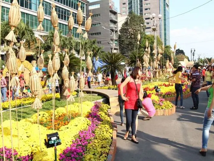 ベトナムの天気【2月】2016年