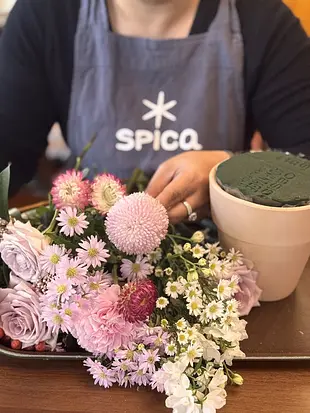 スピカ・スタジオ