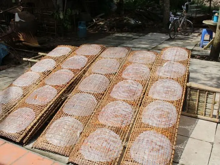 ホーチミン発メコン川クルーズのハイライトをご紹介します！いますぐ出発したくなる