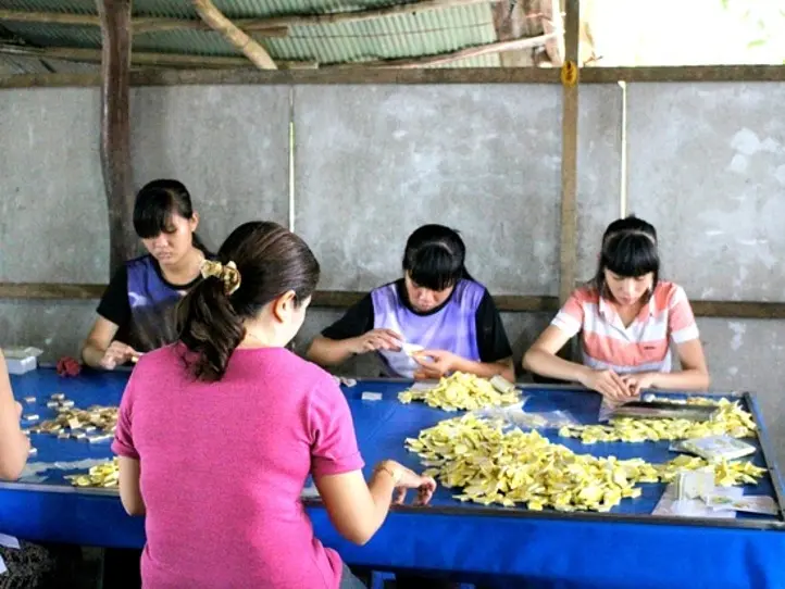 ホーチミンの１番人気の定番現地オプショナル・ツアー！メコン川クルーズ・ツアー