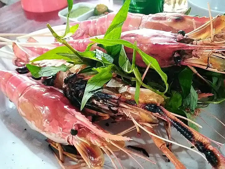 初心者でも釣れる！娯楽の定番「エビ釣り」を楽しもう