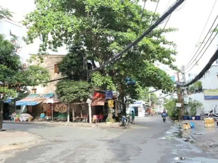 本格鉄板焼き専門店・広島お好み焼きー夢鉄希（ムテキ）