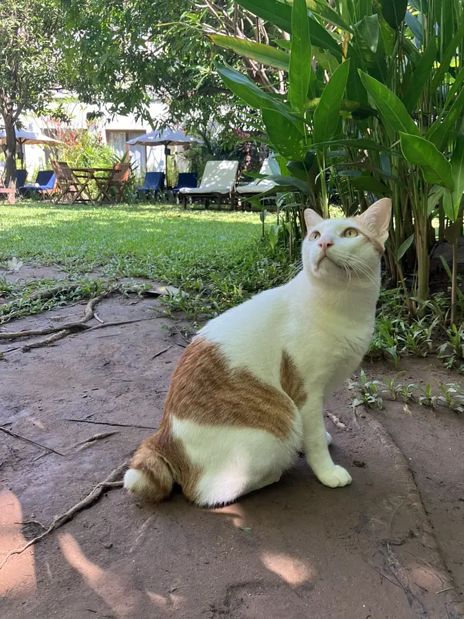 　【プノンペン】本当は教えたくないベストオブベストホテル