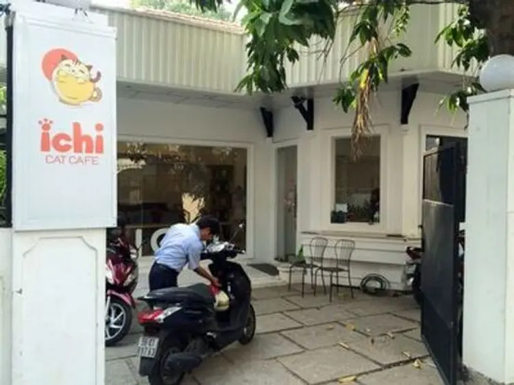 イチキャットカフェ