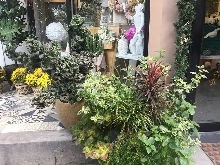 【2区】女子力高めな雑貨屋さん