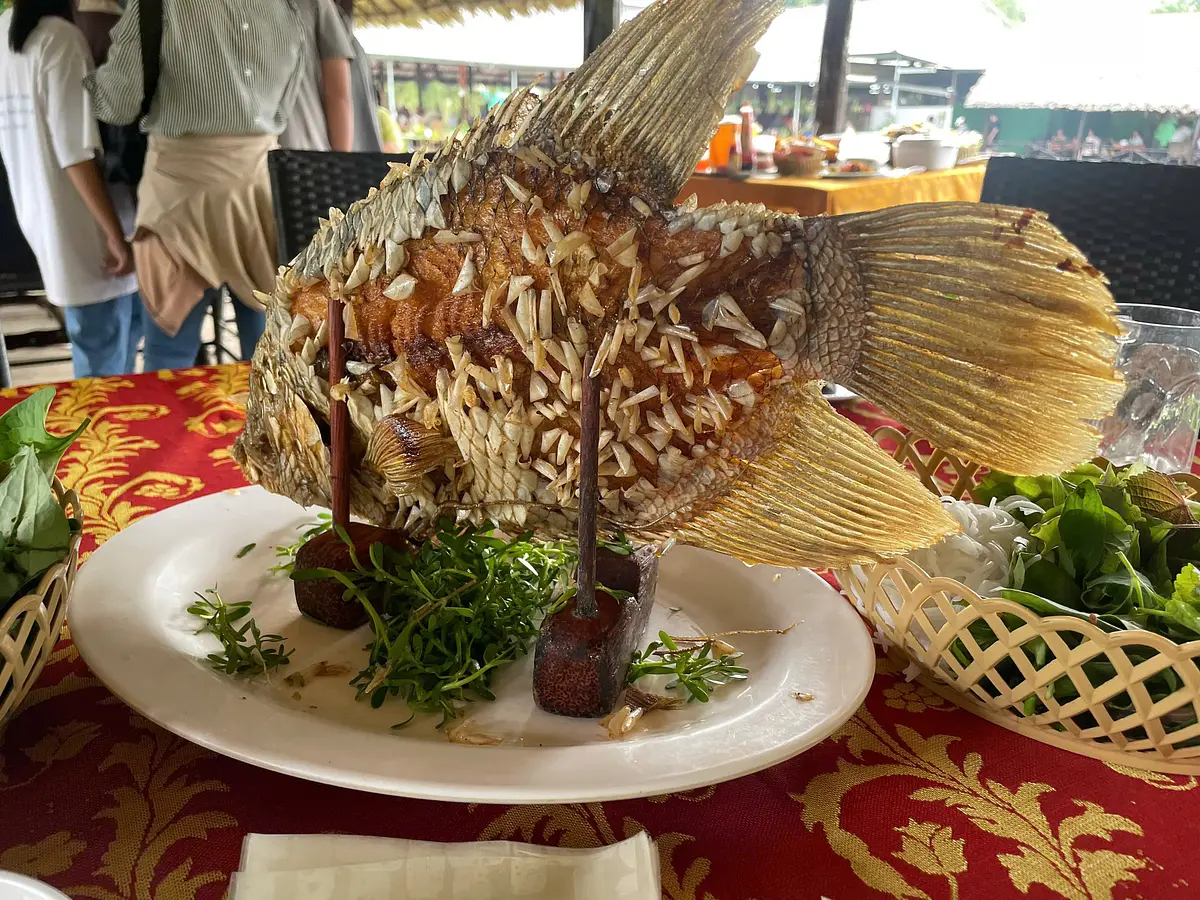 メコンデルタ ツアー 日帰りガイド：ホーチミン発のおすすめ旅行プラン