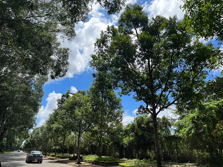 ホーチミン旅行で「これを知ってると疲れにくい」7つのコツ