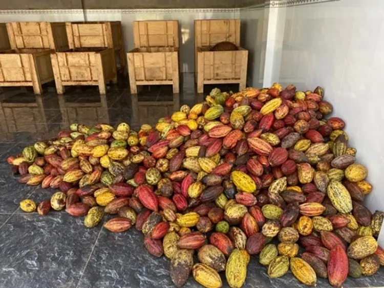 サイゴン・ブルー・トラベル