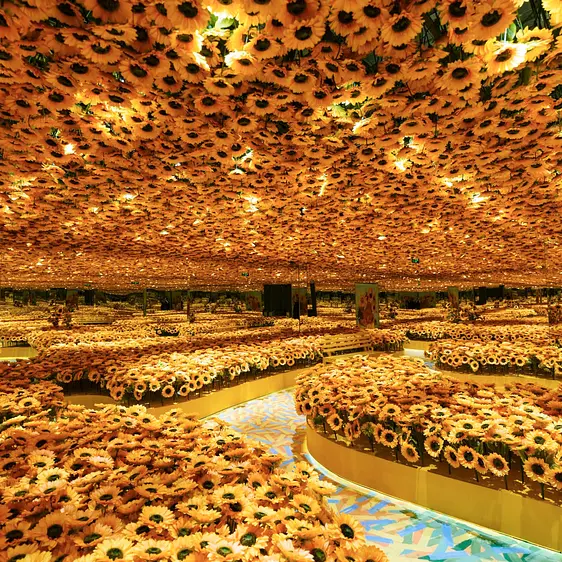 雨の日でも楽しめる！ゴッホの世界へ！ホーチミンの室内観光「Meta Show」チケット予約！