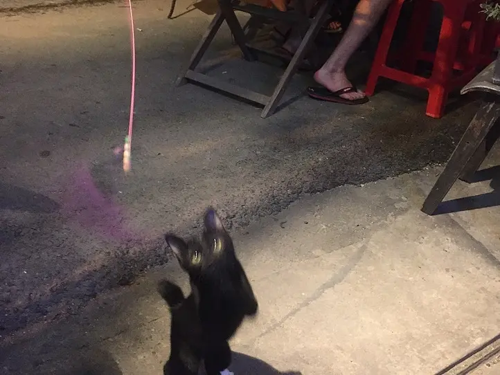 安くて雰囲気満点のバー