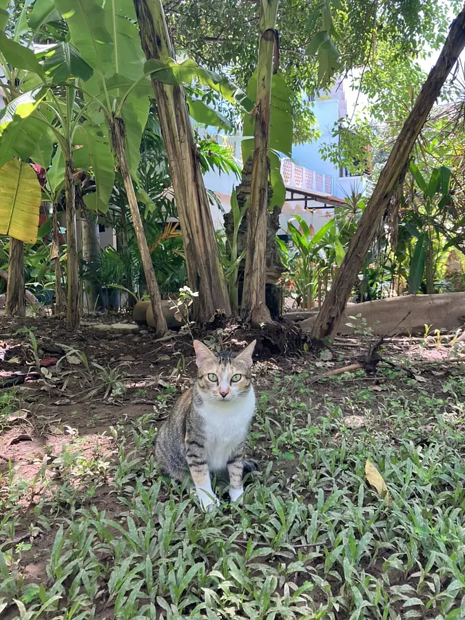 　【プノンペン】本当は教えたくないベストオブベストホテル