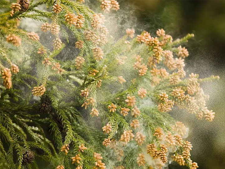 大気汚染から肌を守る！アンチポリューション日焼け止めーアオハルリペルUV