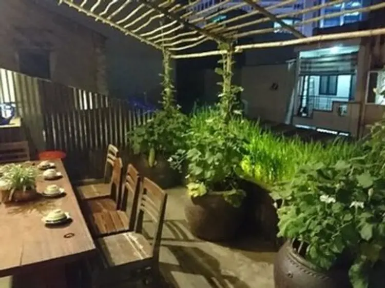 Rice Field (ライス フィールド)