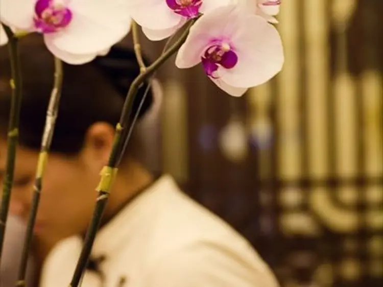 インドシンスパ