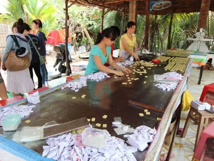 鉄板！日本語ガイド付きでホーチミンから半日で行ける現地ツアー・メコン川クルーズのレポート