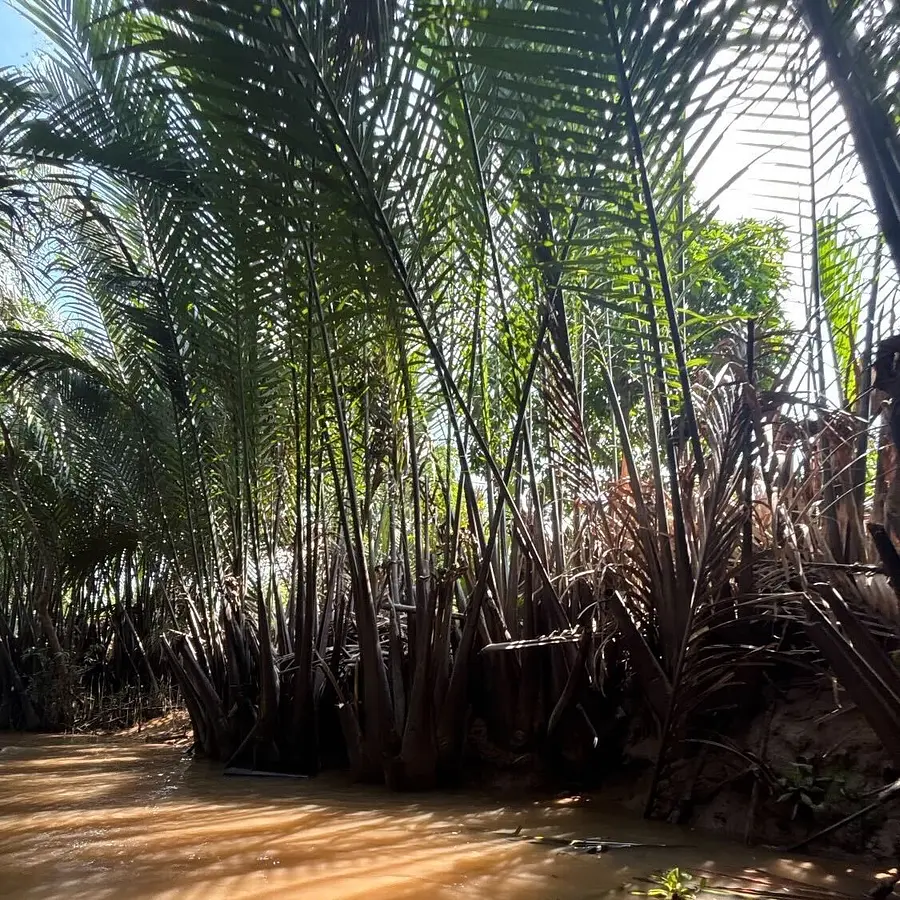 ホーチミン旅行の大定番！メコン川クルーズツアーの魅力