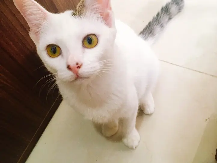 ホーチミン在住者のライフハック