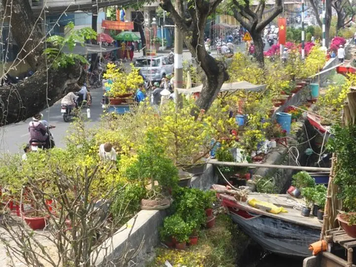 テトを前にホーチミンは華やかに～8区運河沿いにある花市場