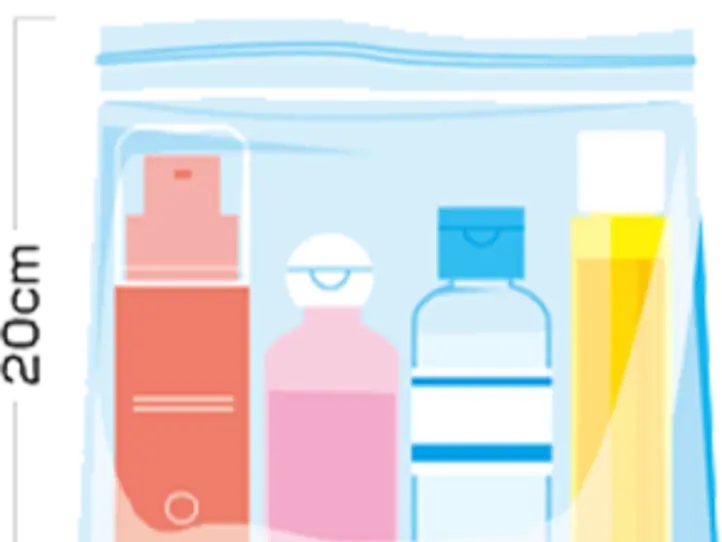 日本から国際線に持ち込める、虫除けスプレーを調べてみました！