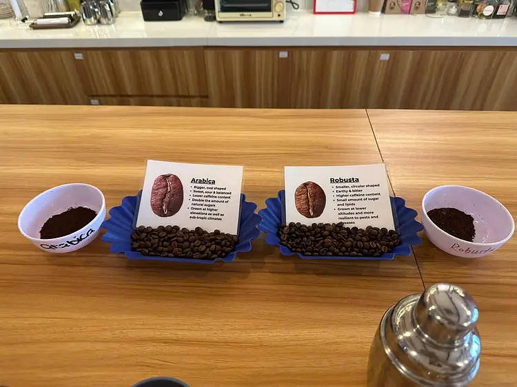 ベトナムコーヒーの魅力を味わう──４種類の飲み比べ＆エッグコーヒーづくり体験