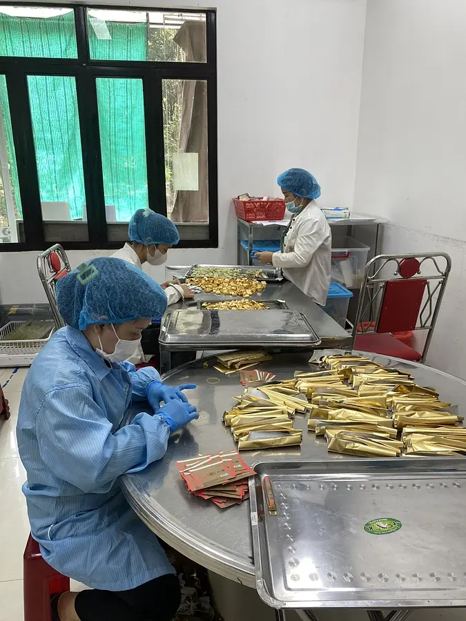 BINON CACAO の物語【前編】— ベトナムの土地と可能性を信じた、ひとりの創業者の挑戦