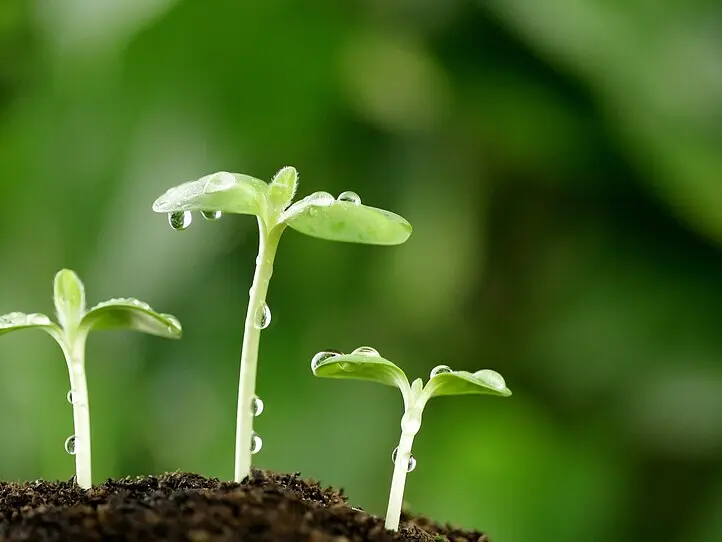 1回お試しのチャンス！ブラックフライデー特別セール【美容注射のご紹介】