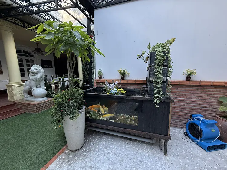 トロアグルマン