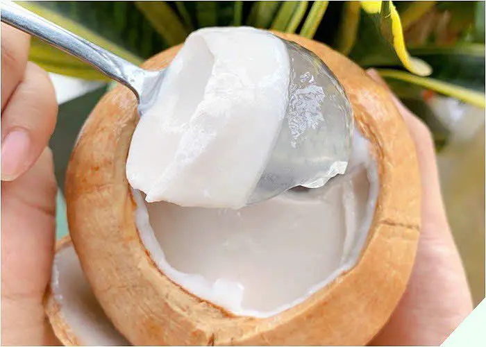 ベトナム料理 スイーツの魅力を探る！旅行者に人気の理由とは？