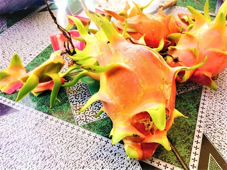 ベトナム新型コロナウイルス(COVID-19)に関するニュース・トピック