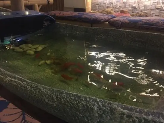 グエンシャック