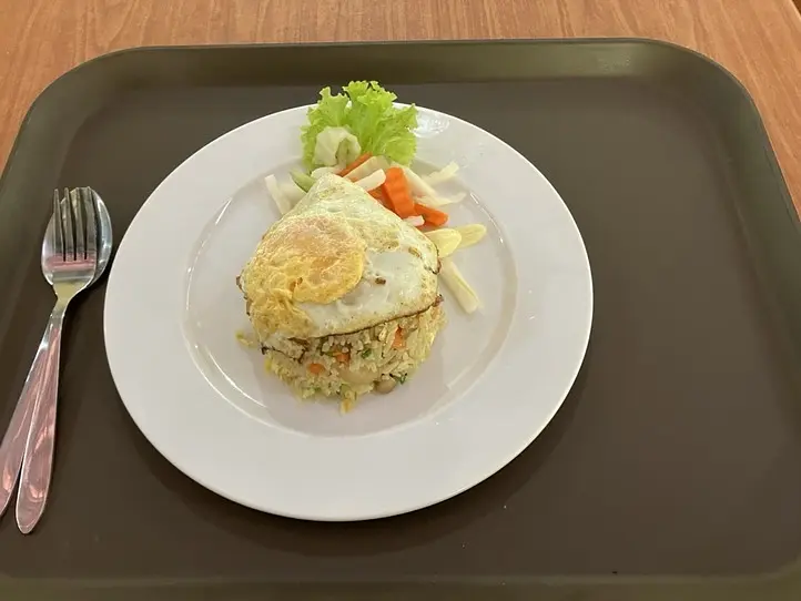 　【プノンペン】本格ショーが見られるサファリが物凄かった