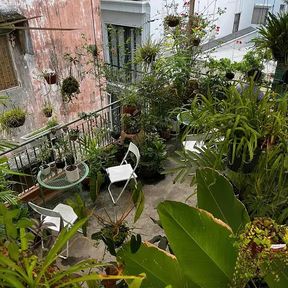 サオサク カフェ＆プランツ