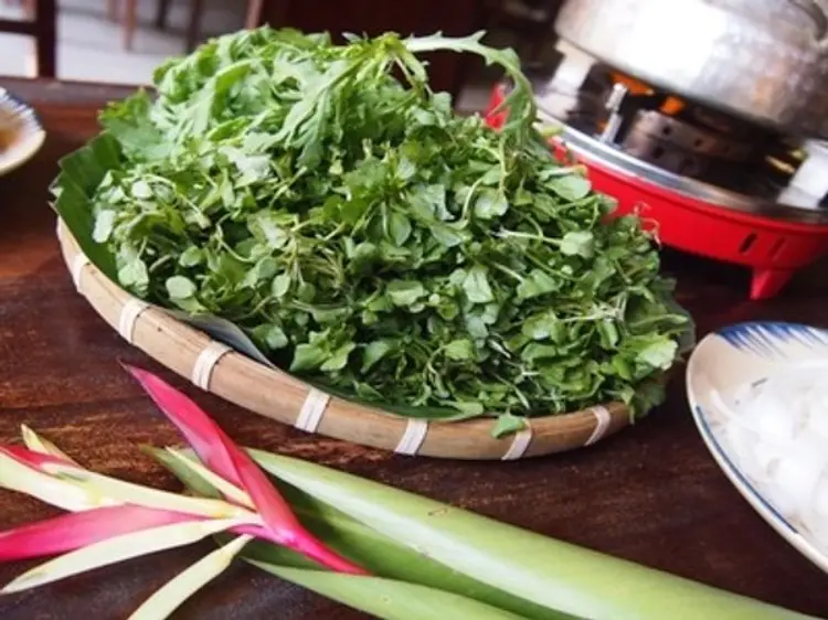 キュー・インドシン