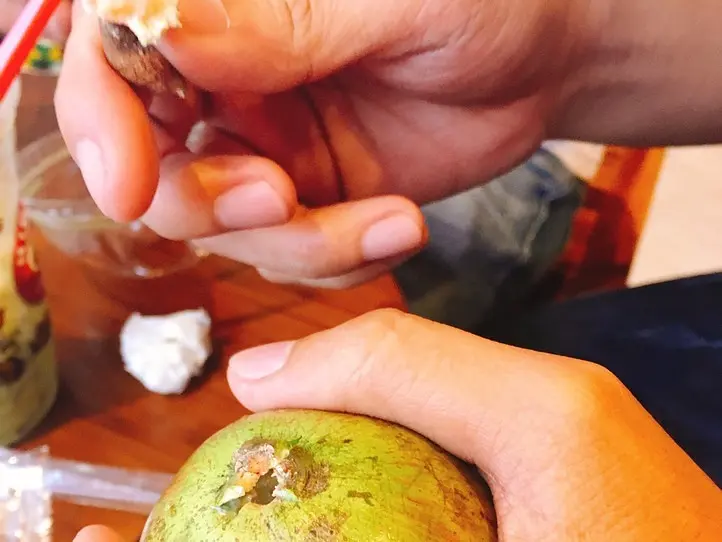 ベトナムのミルクメロン「おっぱいフルーツ」って何??　買い方・食べ方を解説！