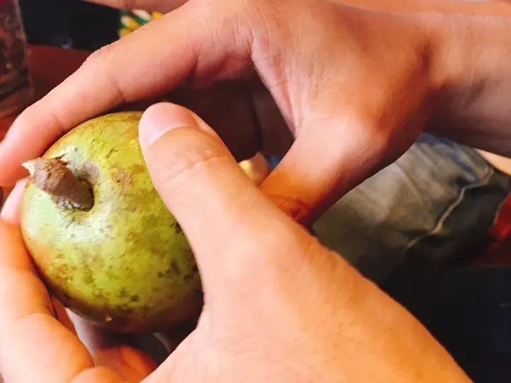 ベトナムのミルクメロン「おっぱいフルーツ」って何??　買い方・食べ方を解説！