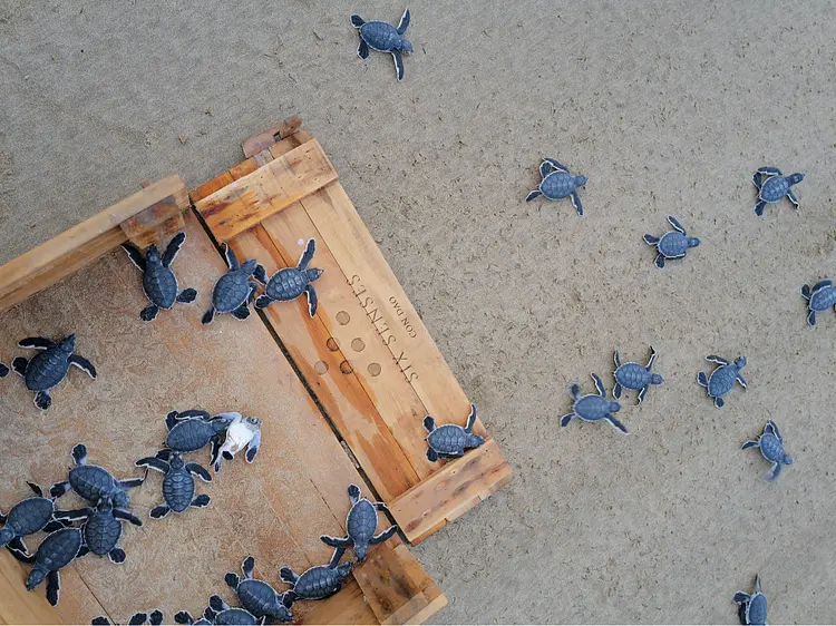 シックスセンシズ・コンダオ