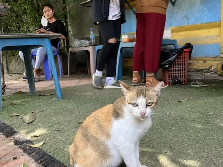 　【プノンペン】ローカルなコーヒー屋さんでコーヒーを飲もう！